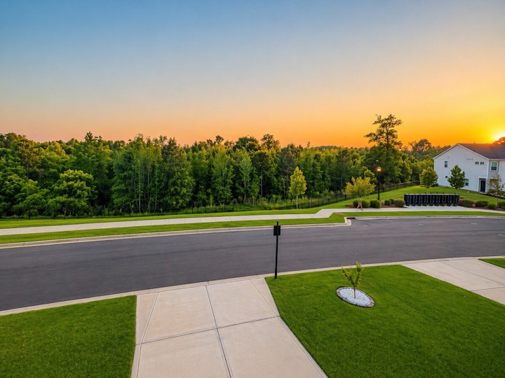 Tree-lined street near 356 Hyssop Ct